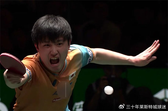 包含中国队险胜波兰队，张本智和高光表现的词条