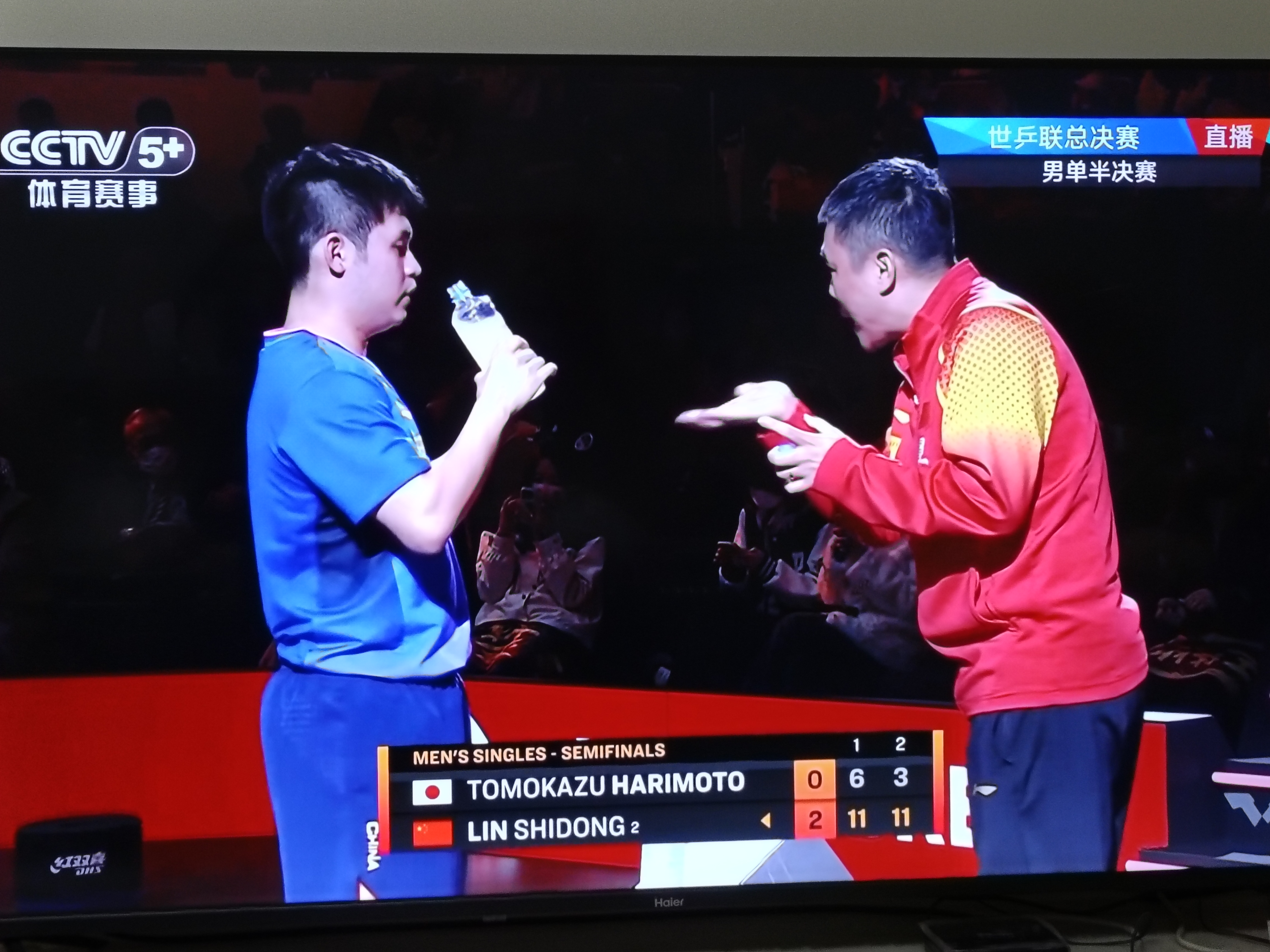 包含中国队轻取英格兰队，张本智和刷新纪录的词条