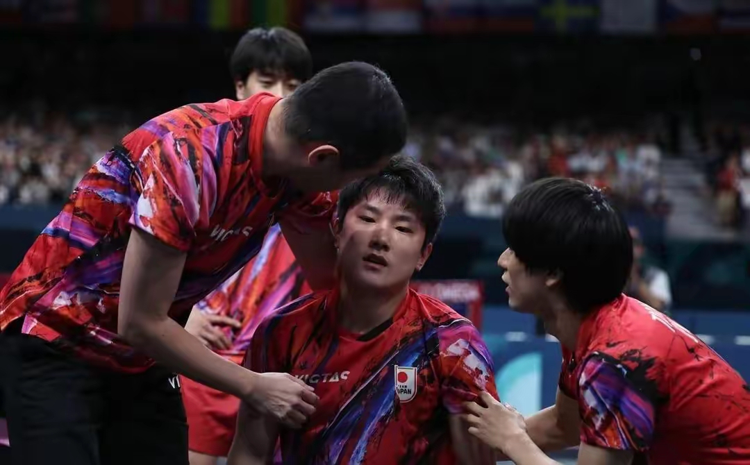 包含日本乒乓球队强势比利时乒乓球队,张本智和爆发神勇的词条 包含日本乒乓球队强势比利时乒乓球队,张本智和爆发神勇的词条