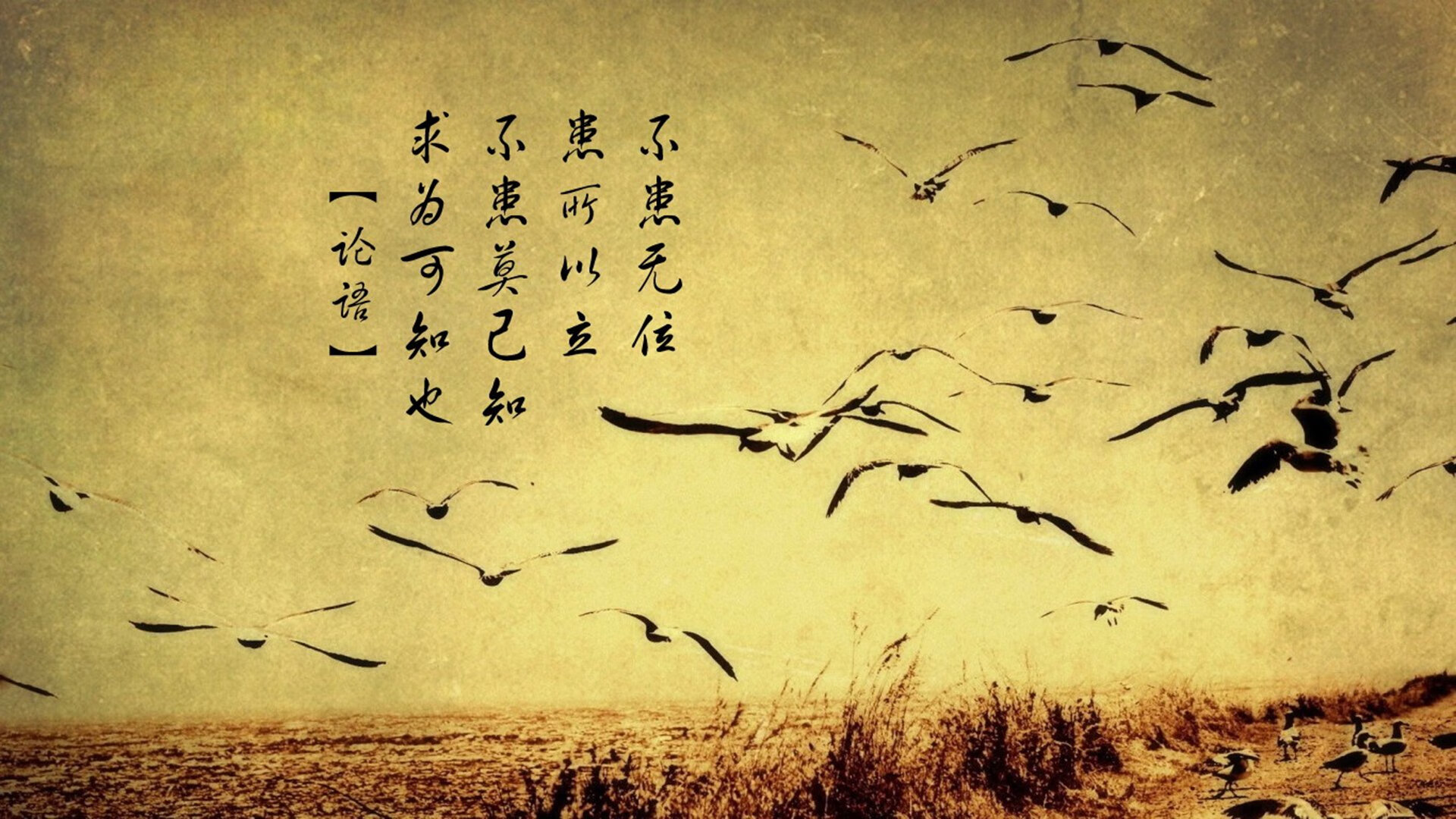 武切维奇独舞五棵松，独行侠轻取北京队提前锁定胜局