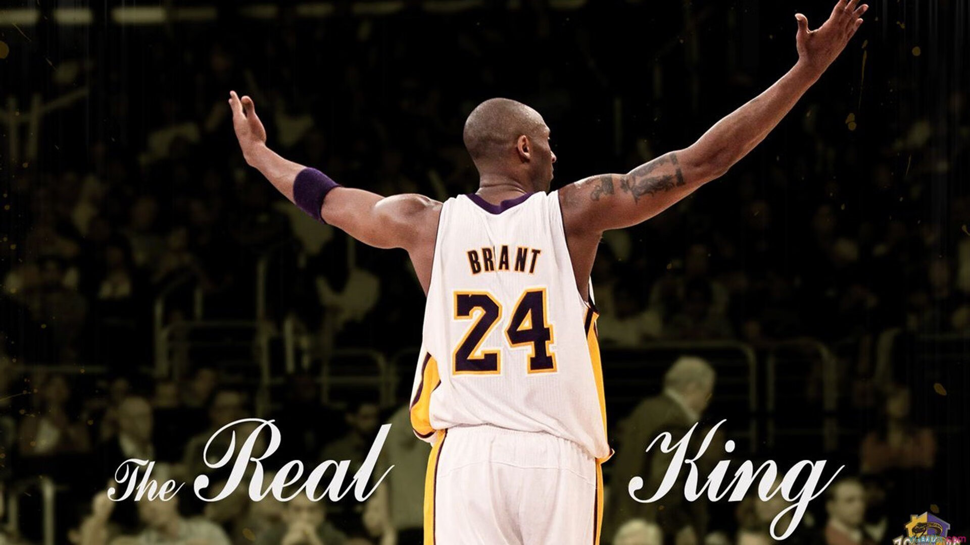 武切维奇,黄蜂对阵北京队的棋手,一手掌控比赛走势